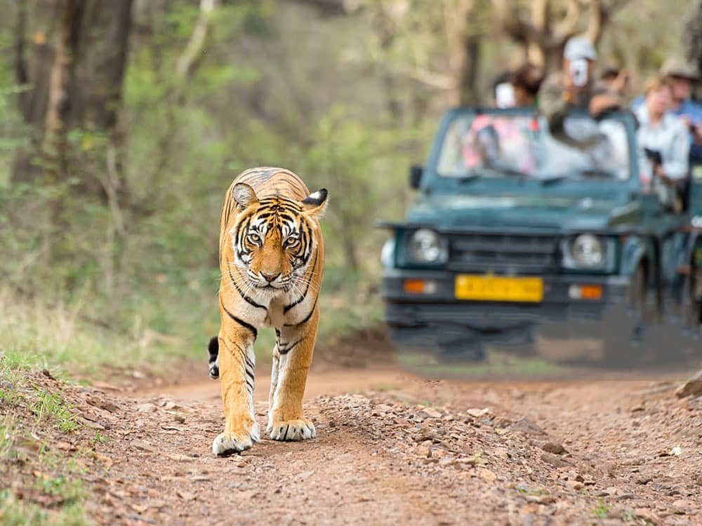 JIM CORBETT